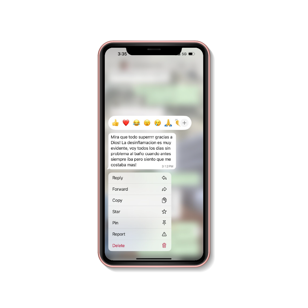 90966 [Convertido]-01