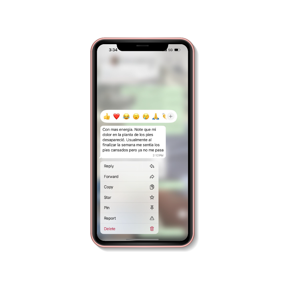 90966 [Convertido]-06