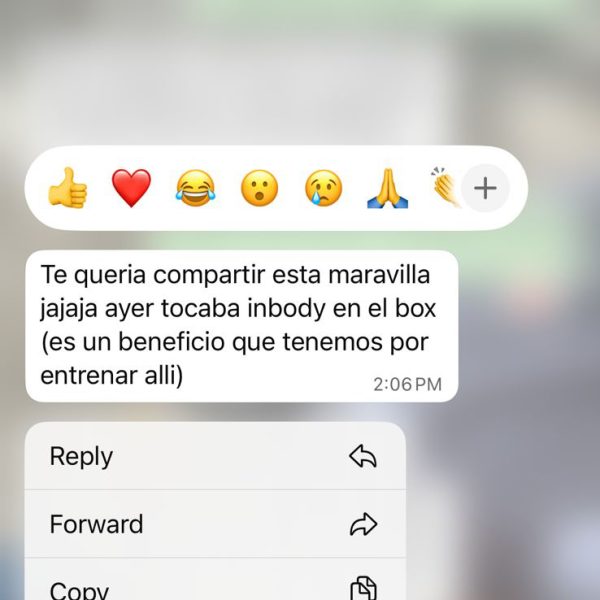 WhatsApp Image 2025-07-29 at 18.00.36 (1)